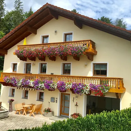 Апартаменты Haus Peschl 1