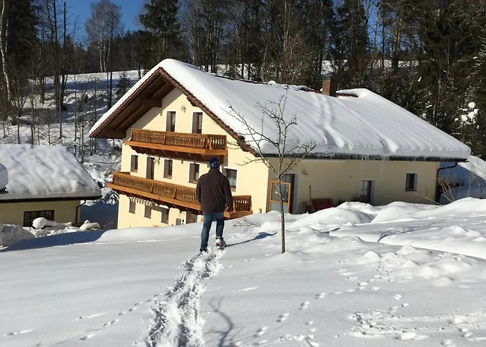 Haus Peschl 1 * Neureichenau